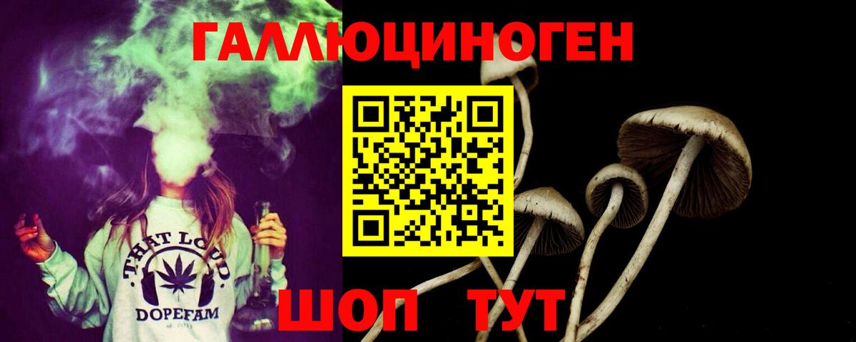 Галлюциногенные грибы Cubensis  закладки  Галлюциногенные грибы прущие грибы  Ржев  Вход с VPN 